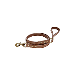 Liaison狗绳 Liaison Dog Leash